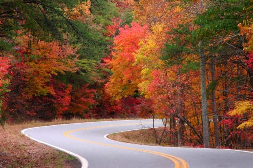 Curvy road winding through brightly colored fall leaves near downtown Hartford, CT